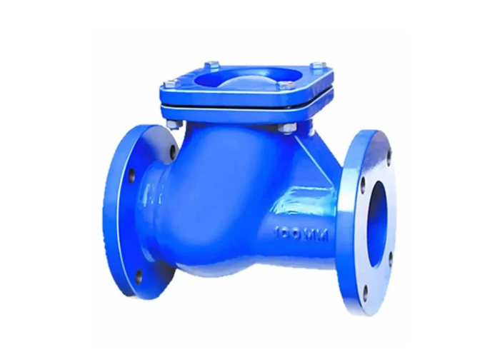 100mm Ci Non Return Valve