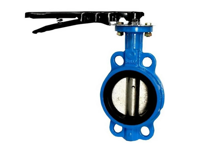Cast Iron Butterfly Valve1