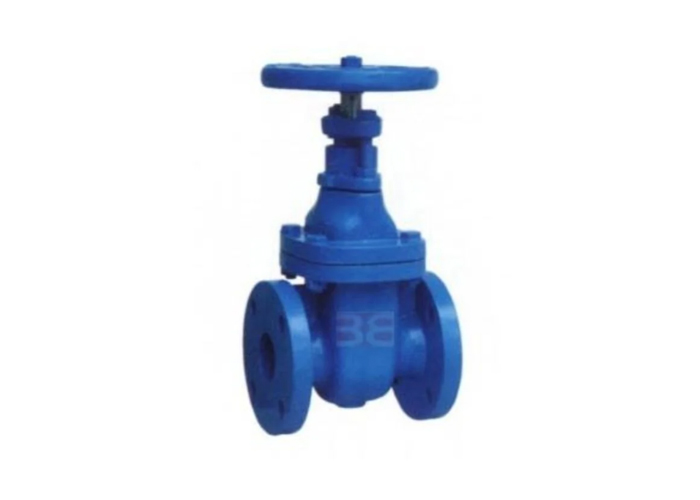 Cast Steel Gate Valve2