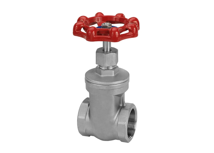 Stainless Steel Gate Valves1
