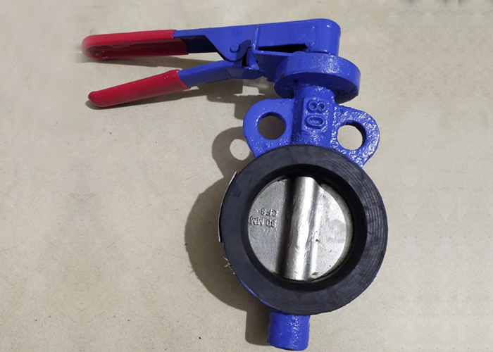 Cast Iron Wafer Type Butterfly Valve1